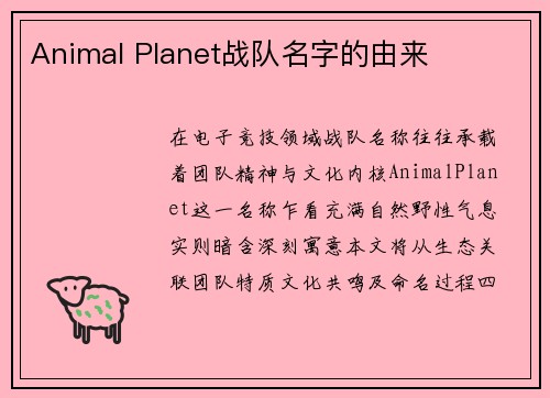 Animal Planet战队名字的由来