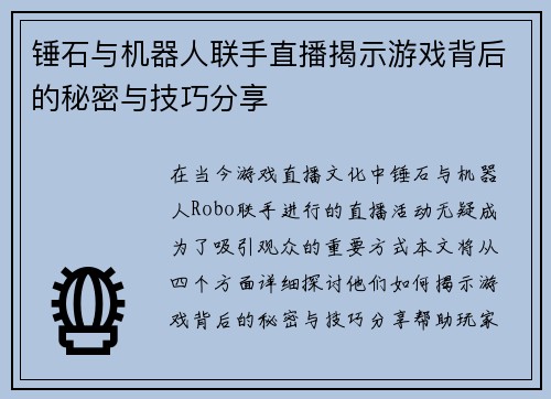 锤石与机器人联手直播揭示游戏背后的秘密与技巧分享